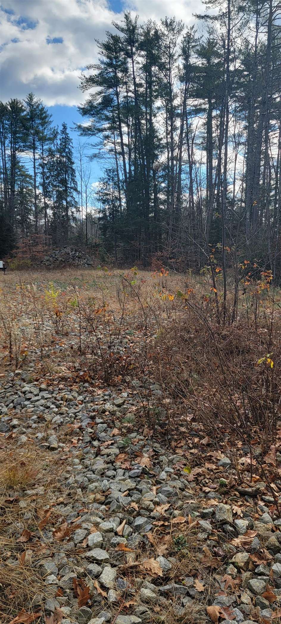 Property thumbnail